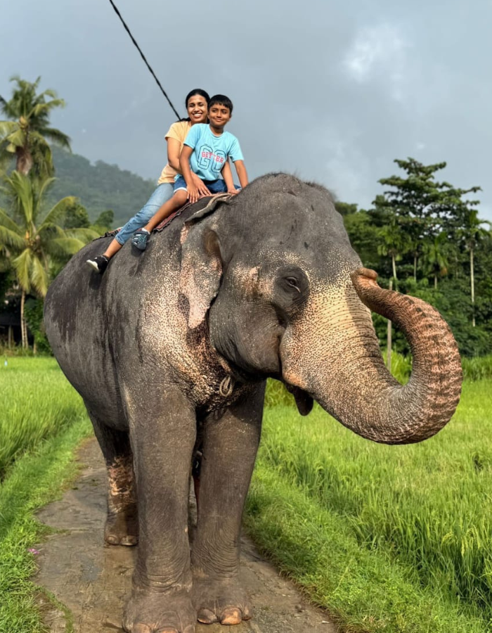 Mother and son riding on top of an elephant during a Sri Lanka tour