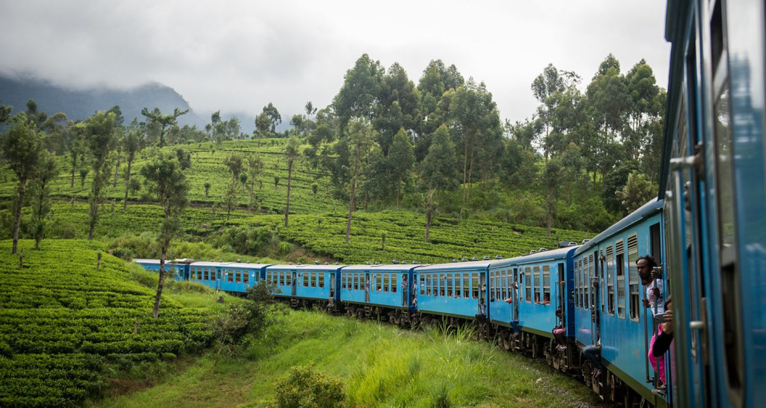 21982577161_fab932f9c2_b 21982577161_fab932f9c2_b